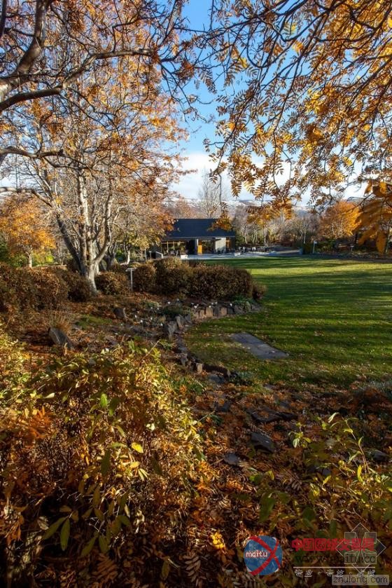 冰岛阿库雷里植物园“树枝”咖啡馆 独特灵感造型-筑龙新闻