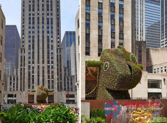 纽约洛克菲勒广场“恐龙木马”巨型花卉雕塑-筑龙新闻