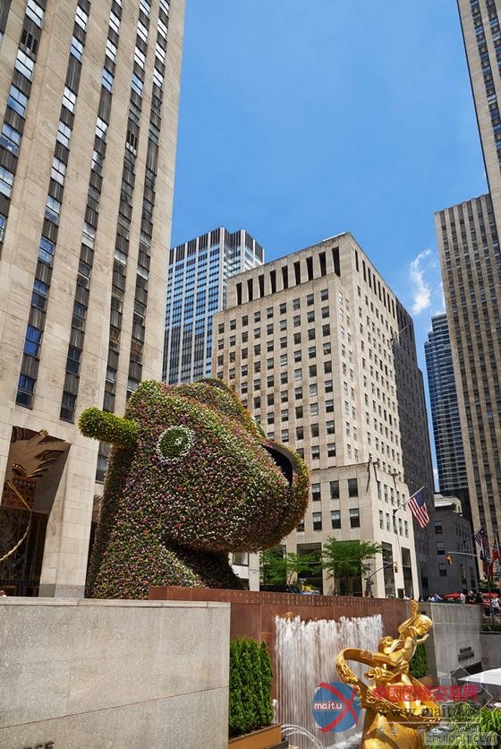 纽约洛克菲勒广场“恐龙木马”巨型花卉雕塑-筑龙新闻