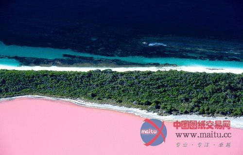 惊艳的粉红色梦幻湖泊 澳大利亚希利尔湖-筑龙新闻